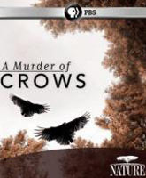 Смотреть Онлайн Воронья стая / A Murder of Crows [2010]